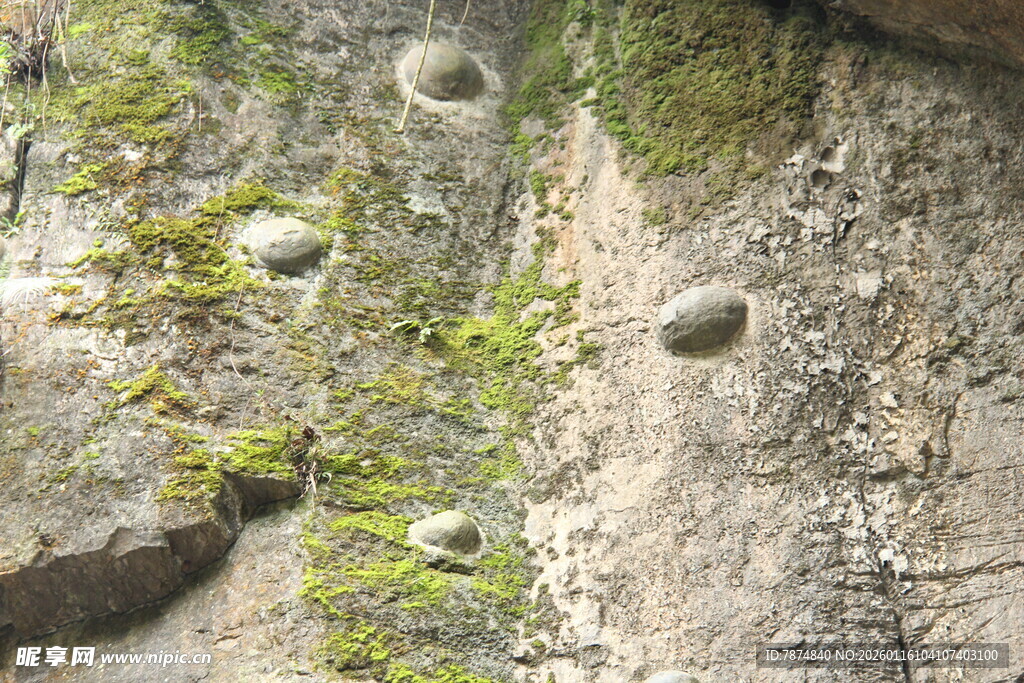 岩石上的苔藓与孔洞