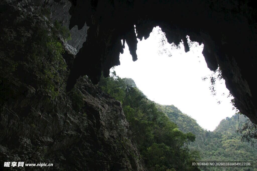 山洞洞口外的翠绿山林