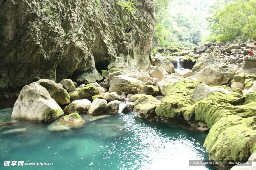 山间碧溪 石上青苔覆景