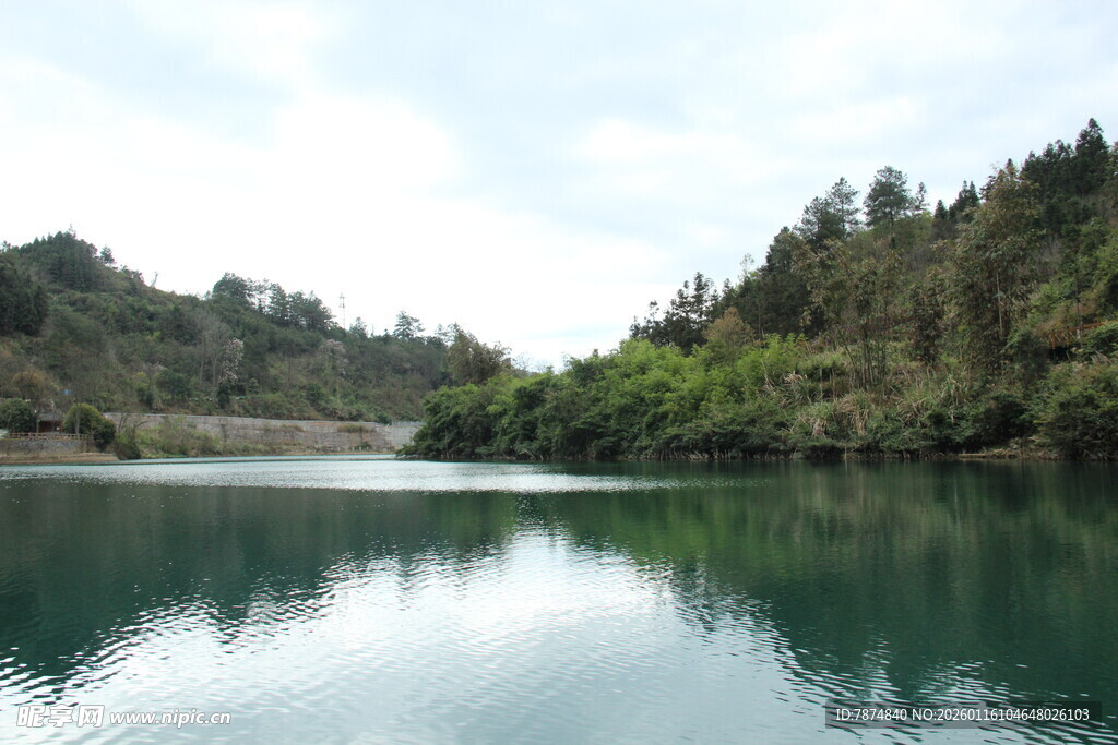 宁静湖水映葱郁山林