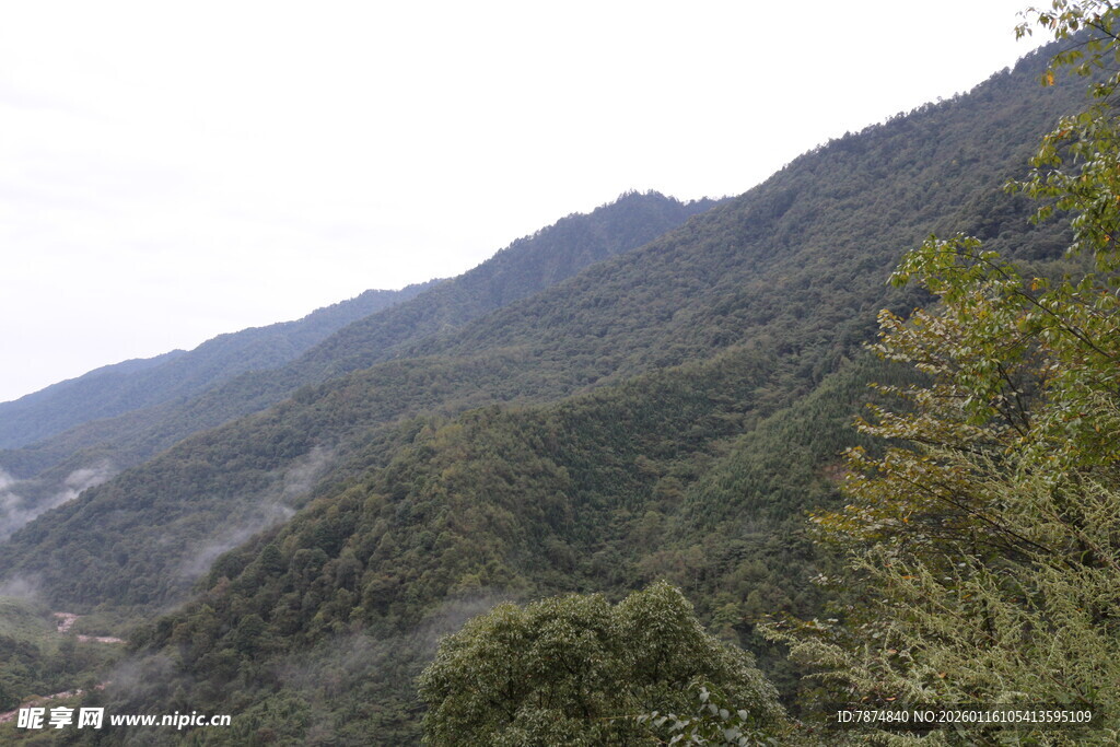 山峦叠翠的自然美景