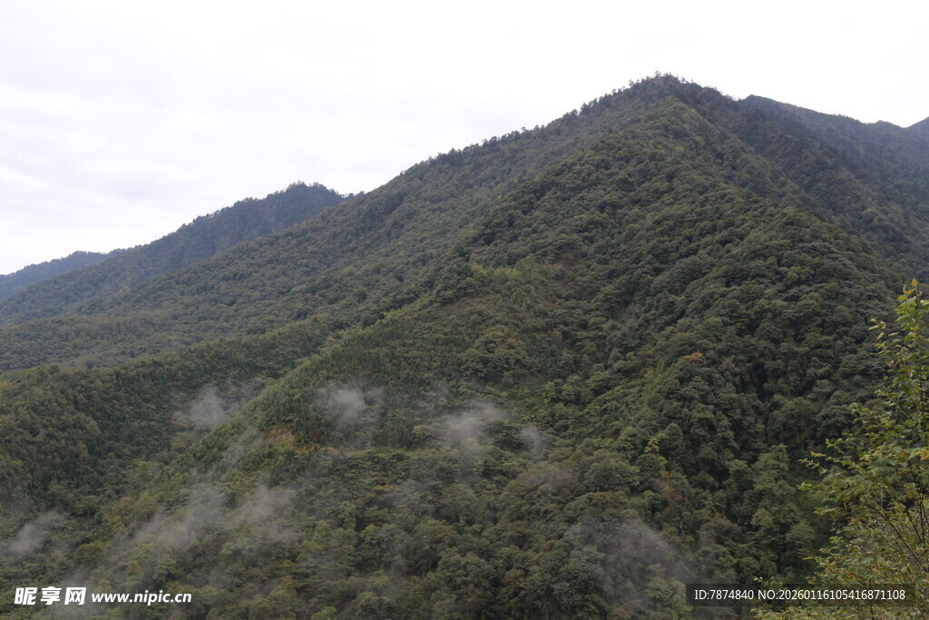 翠绿山峦景色