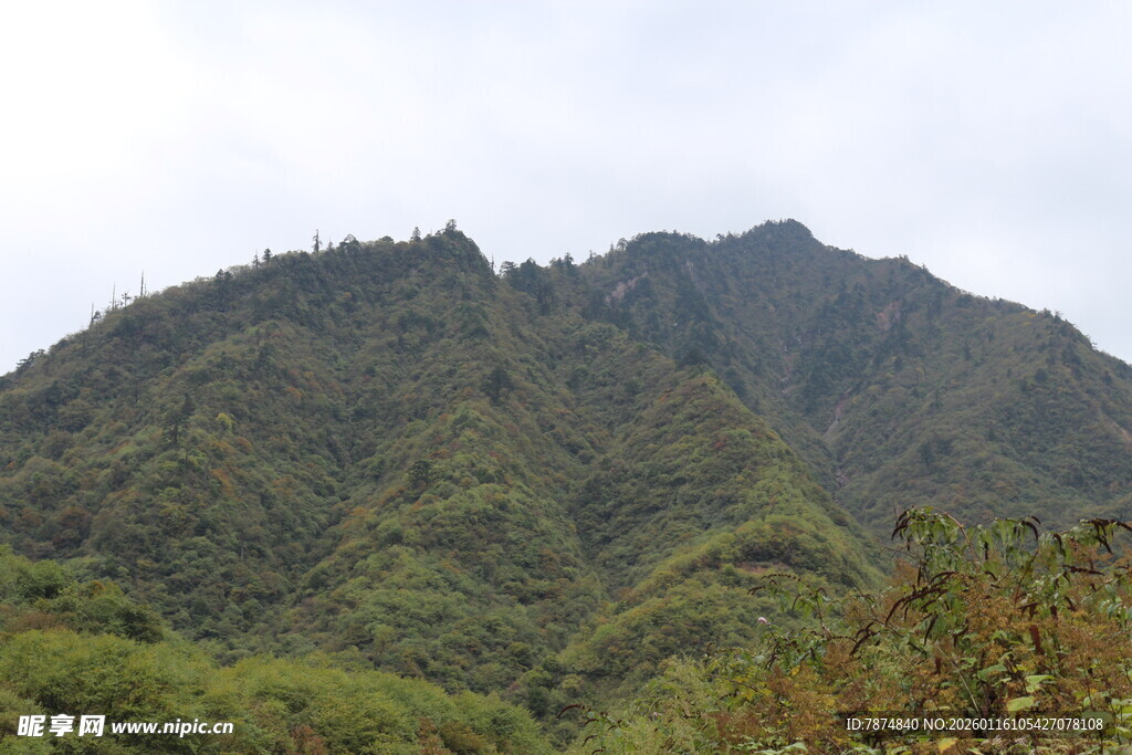 青山叠翠的秀丽山景