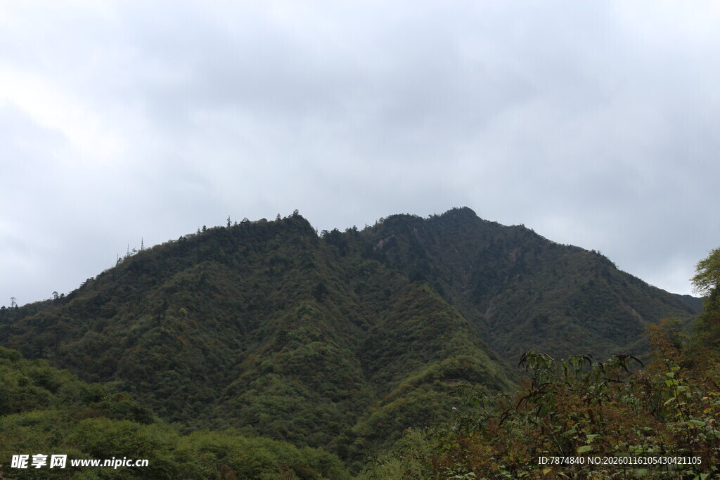 云雾缭绕的翠绿山峰