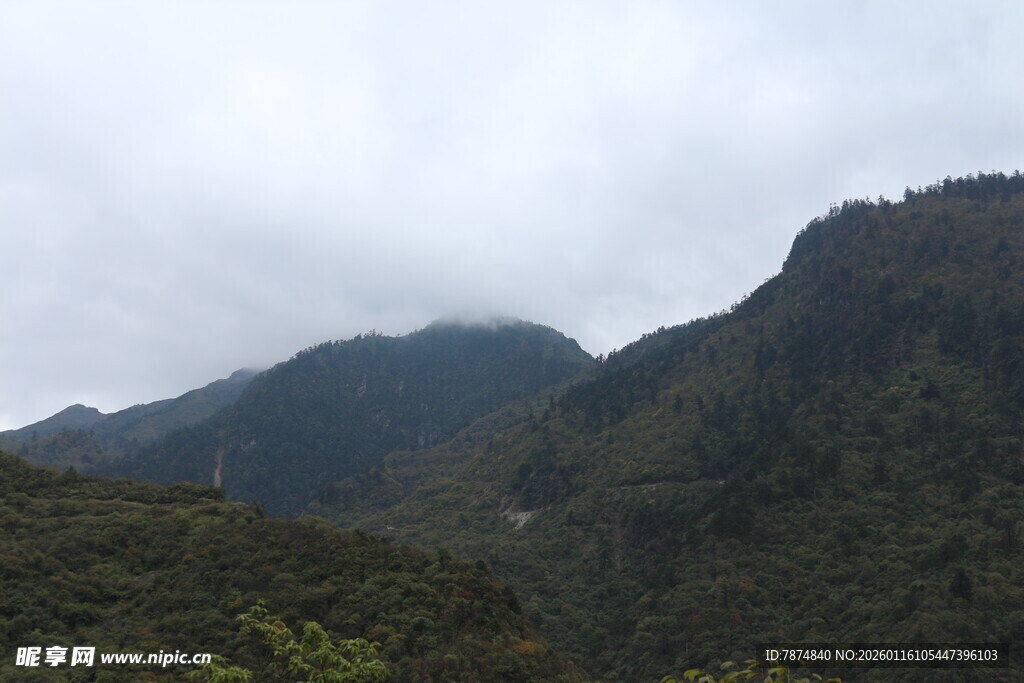 云雾缭绕的青山美景