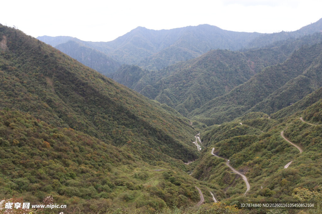山间蜿蜒公路 绿意盎然