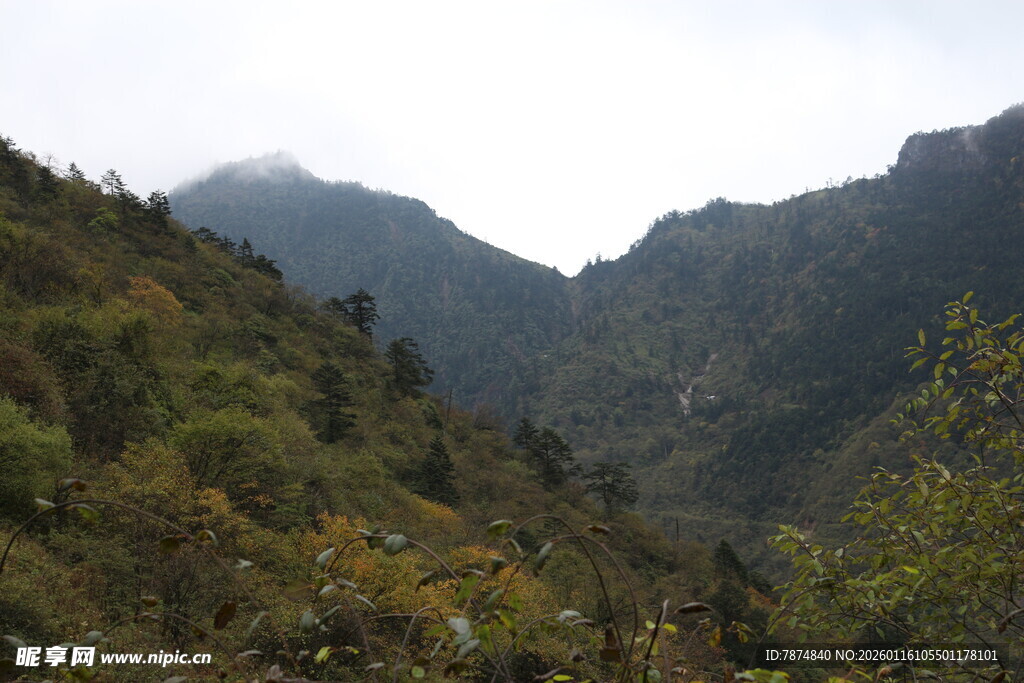 山间绿意盎然的秀丽景致