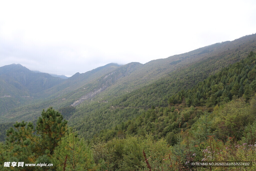 山峦葱郁的自然美景