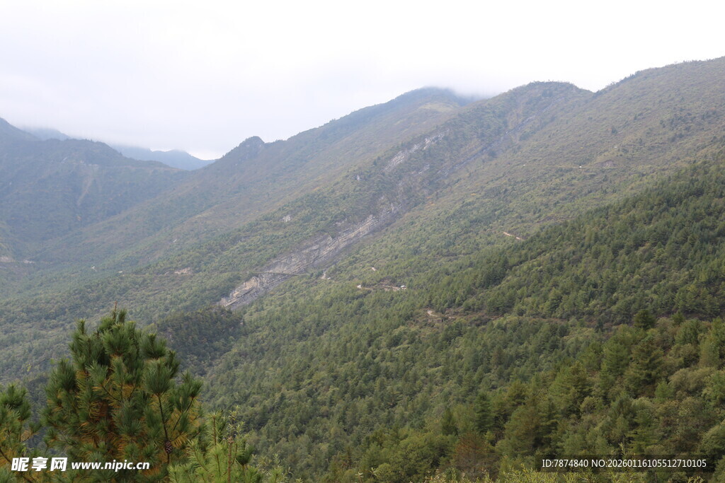 山峦叠翠的绿色山林景观