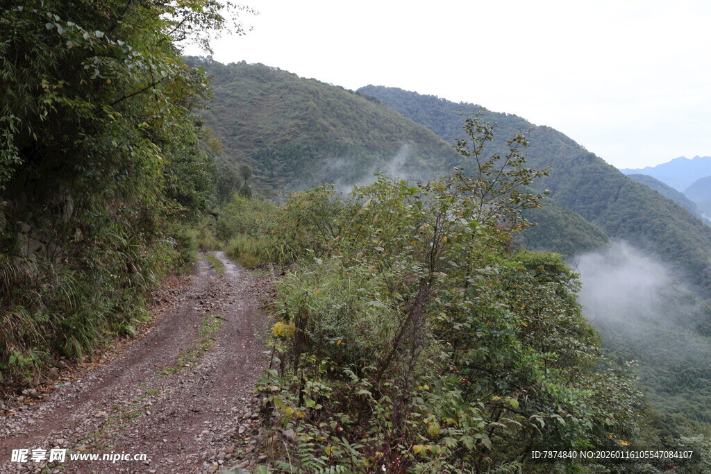 山间泥泞小路 云雾缭绕