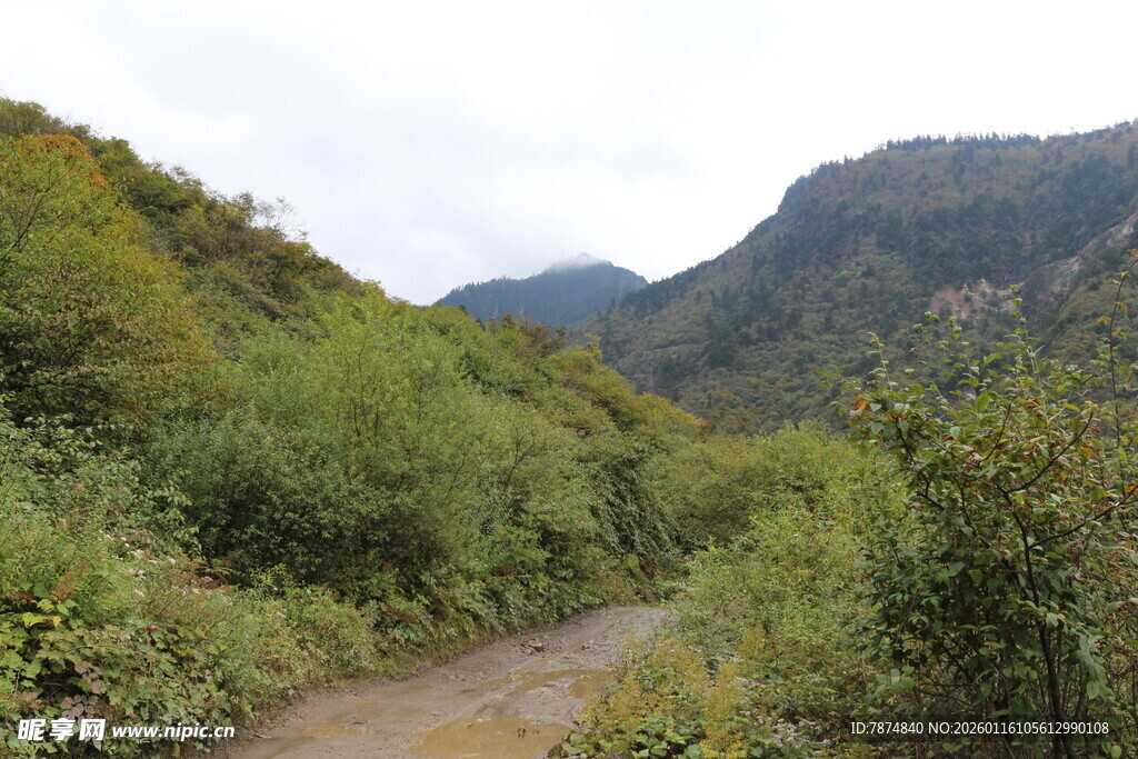 山间蜿蜒小路 绿意盎然