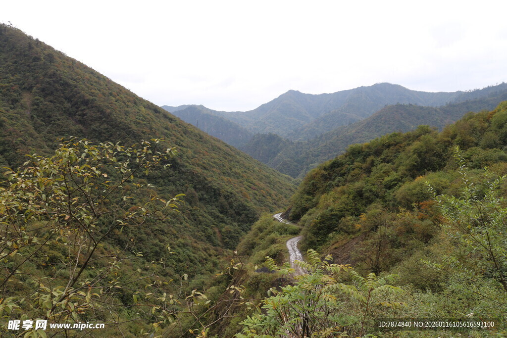 山间蜿蜒小路 绿意盎然