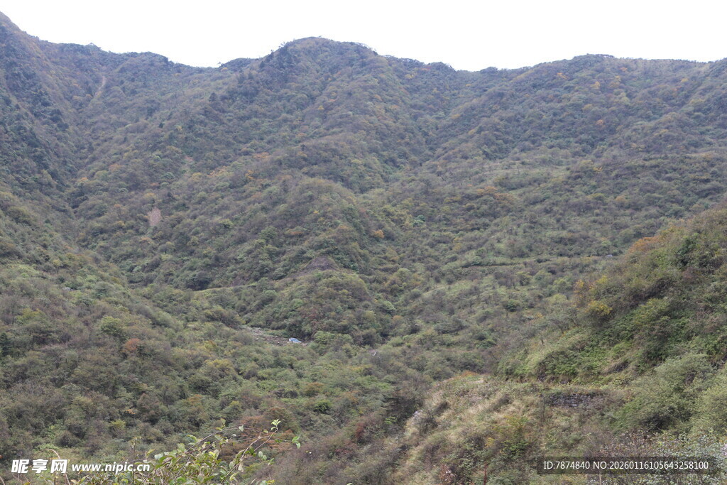 翠绿山峦景色
