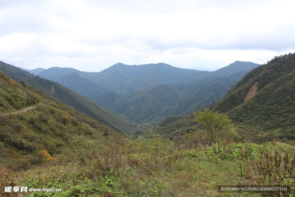 山间绿野 远观连绵山峦