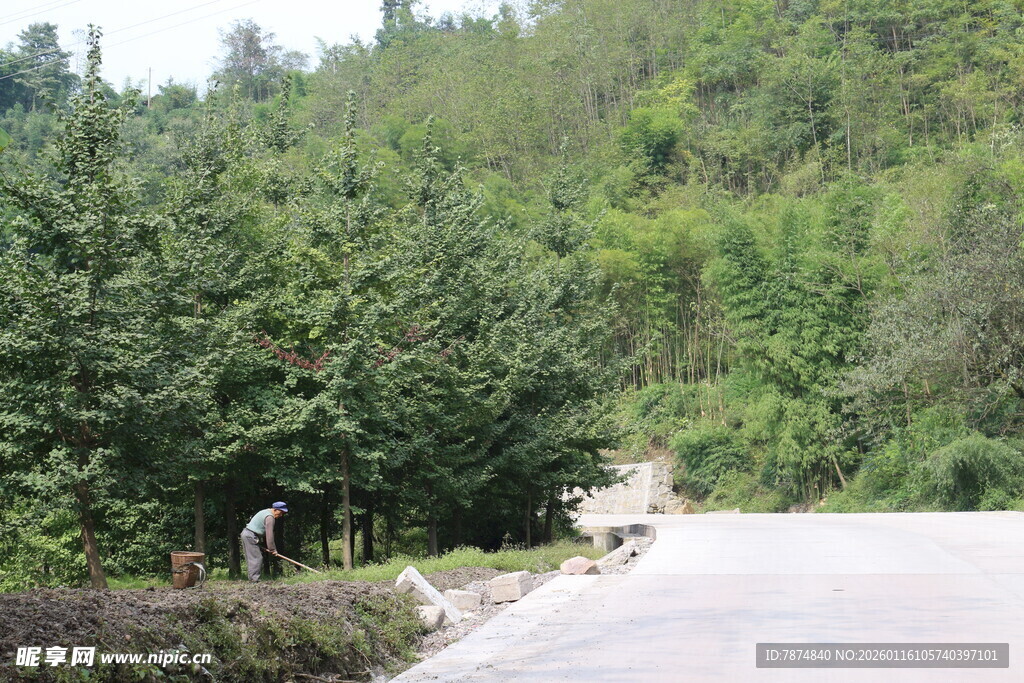 山间公路旁的自然景致