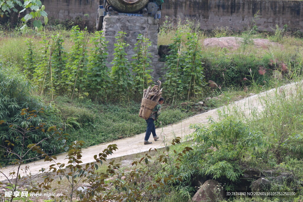 漫步于绿植环绕的小径