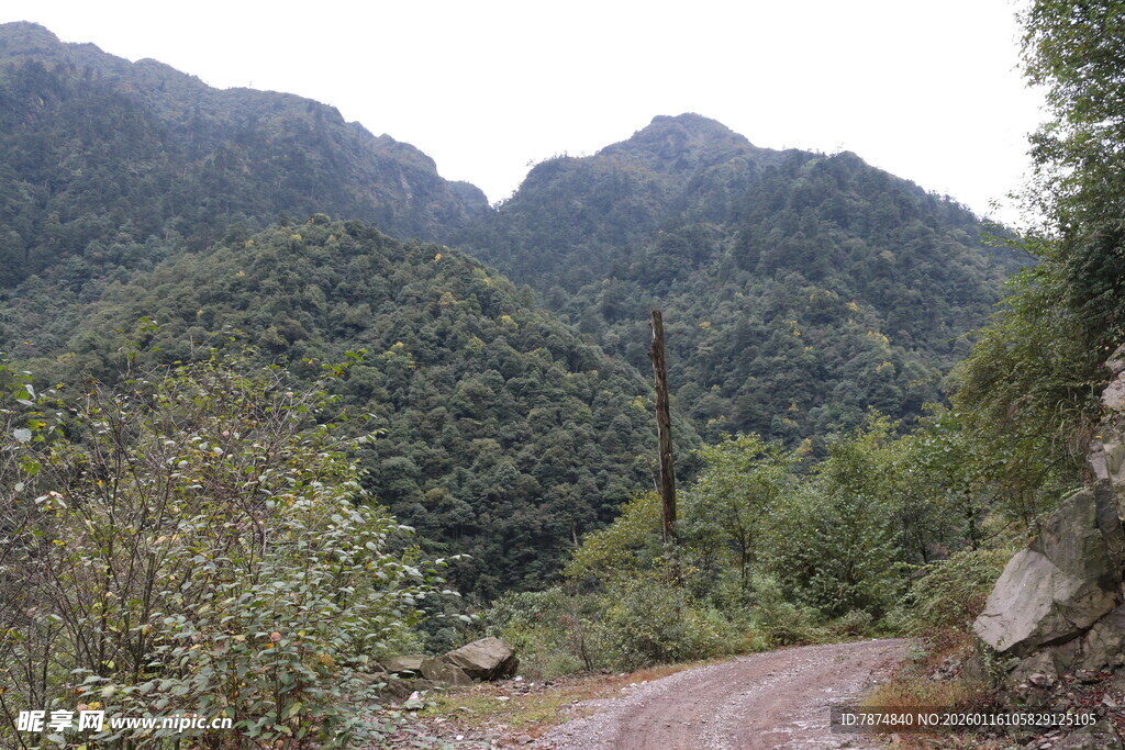 山间蜿蜒小路 绿意盎然