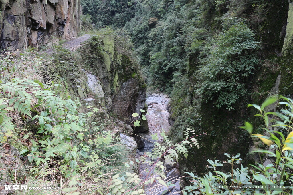 山间幽径 绿意盎然的峡谷
