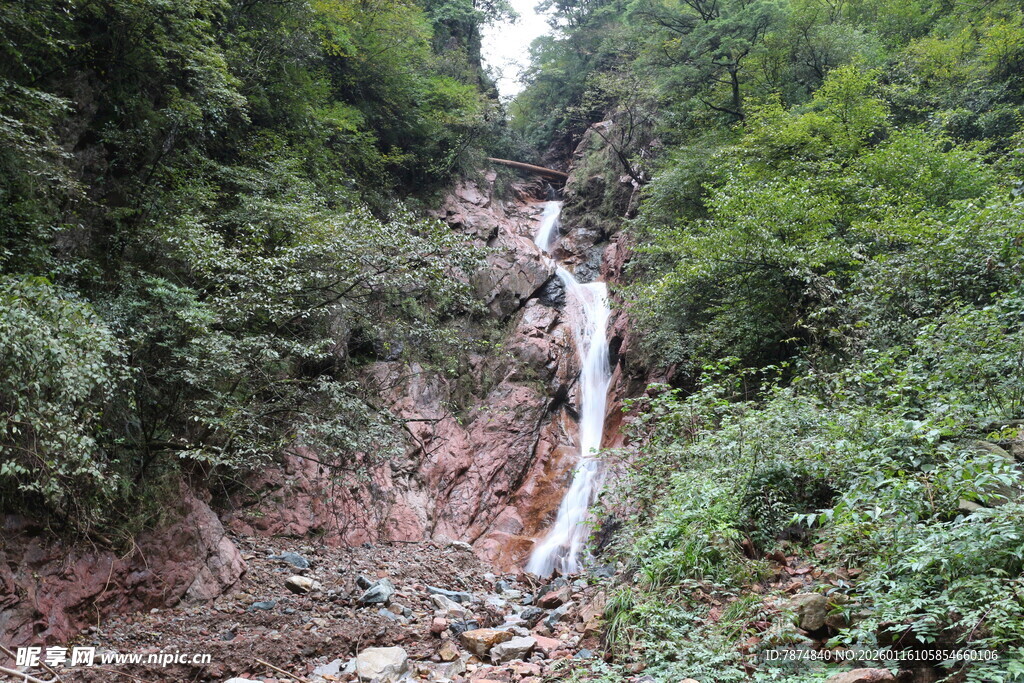 山间溪流穿林而过