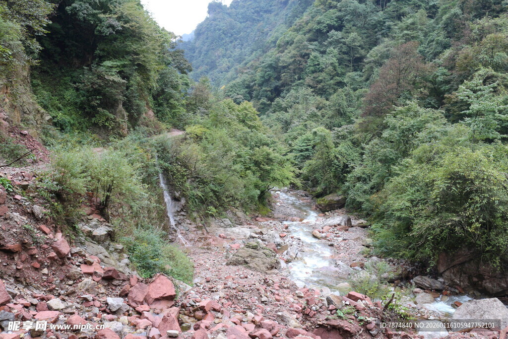山间溪流 绿意盎然的景致