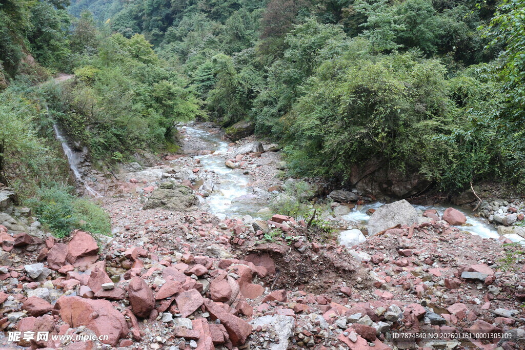 山间泥石流后的杂乱场景