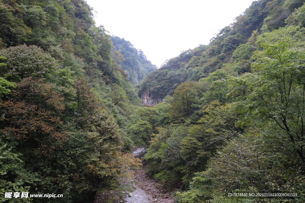 山间幽径 绿意盎然的峡谷