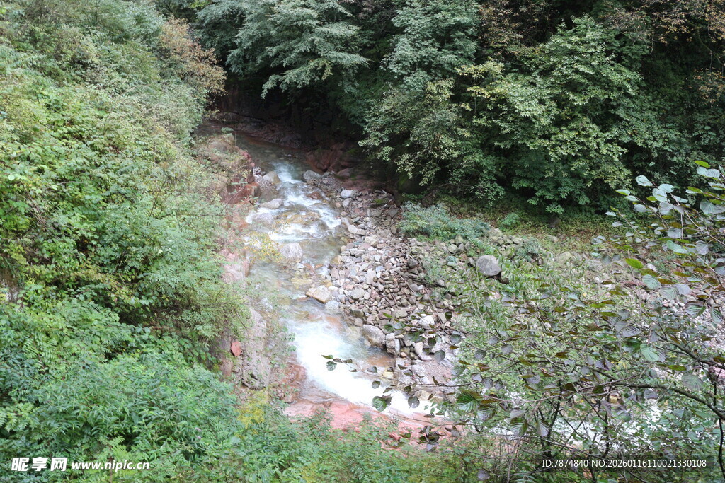 山间溪流穿林而过