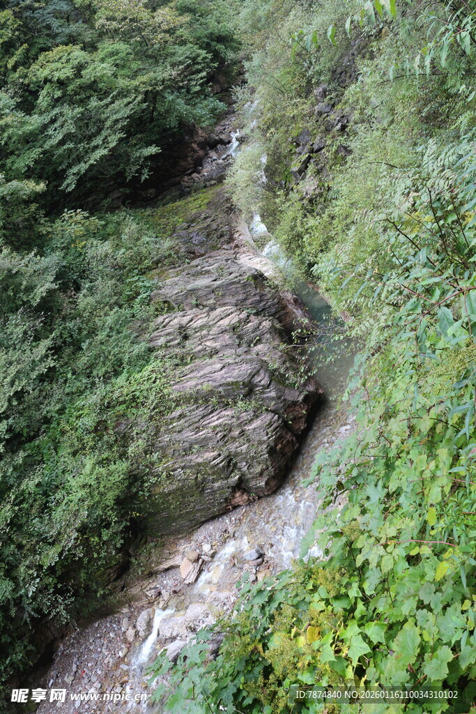 山间蜿蜒溪流穿行绿意中