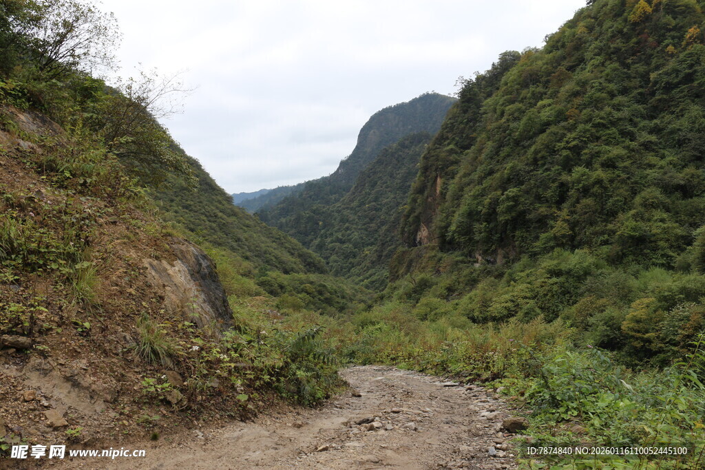 山间泥泞小道 绿意盎然