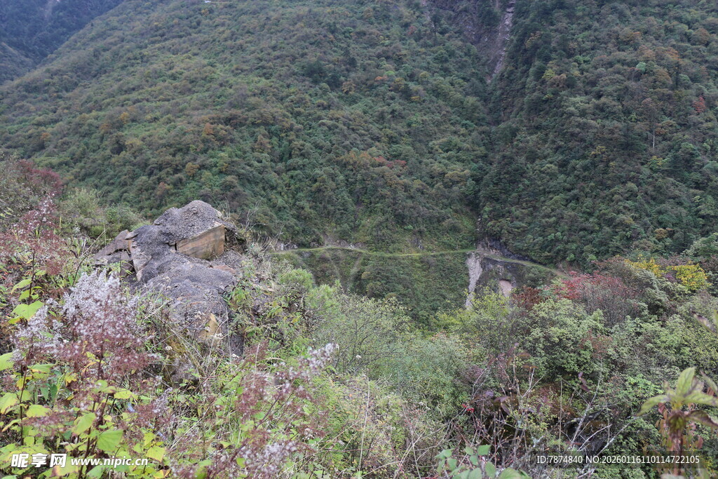 山间植被与岩石景观