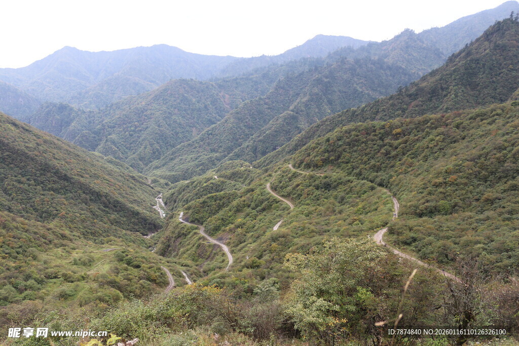 山间蜿蜒公路 绿意盎然