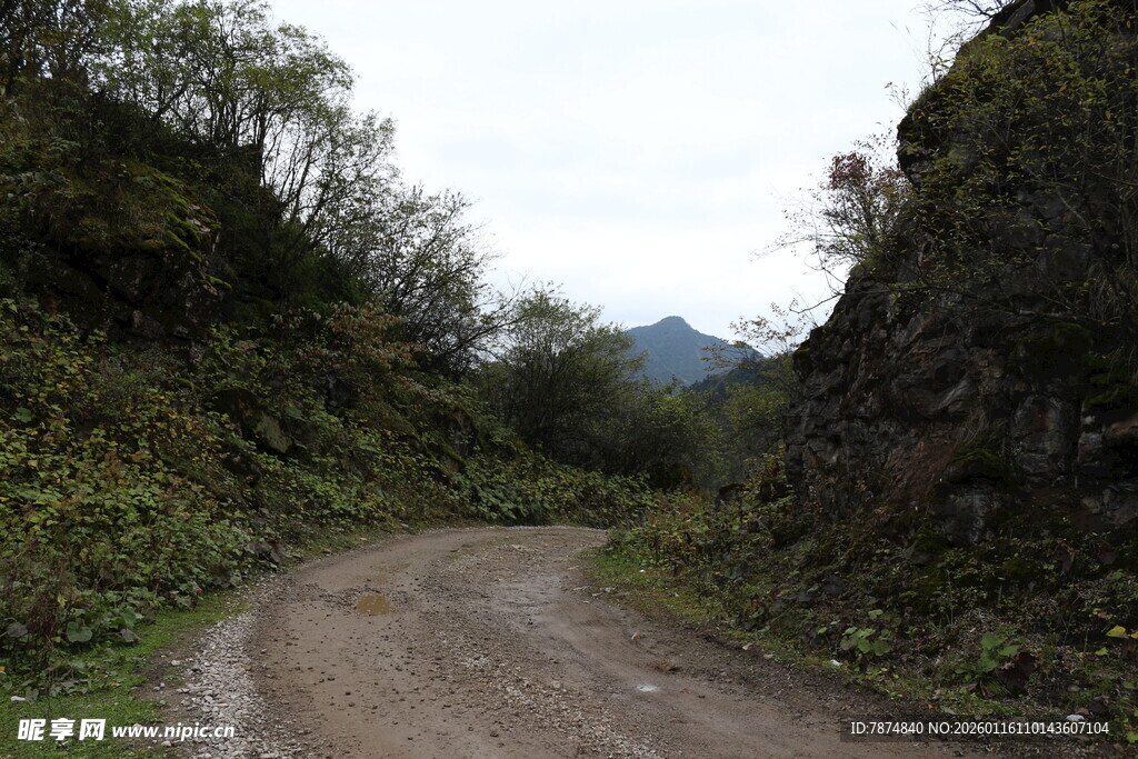 山间蜿蜒土路 绿意环绕