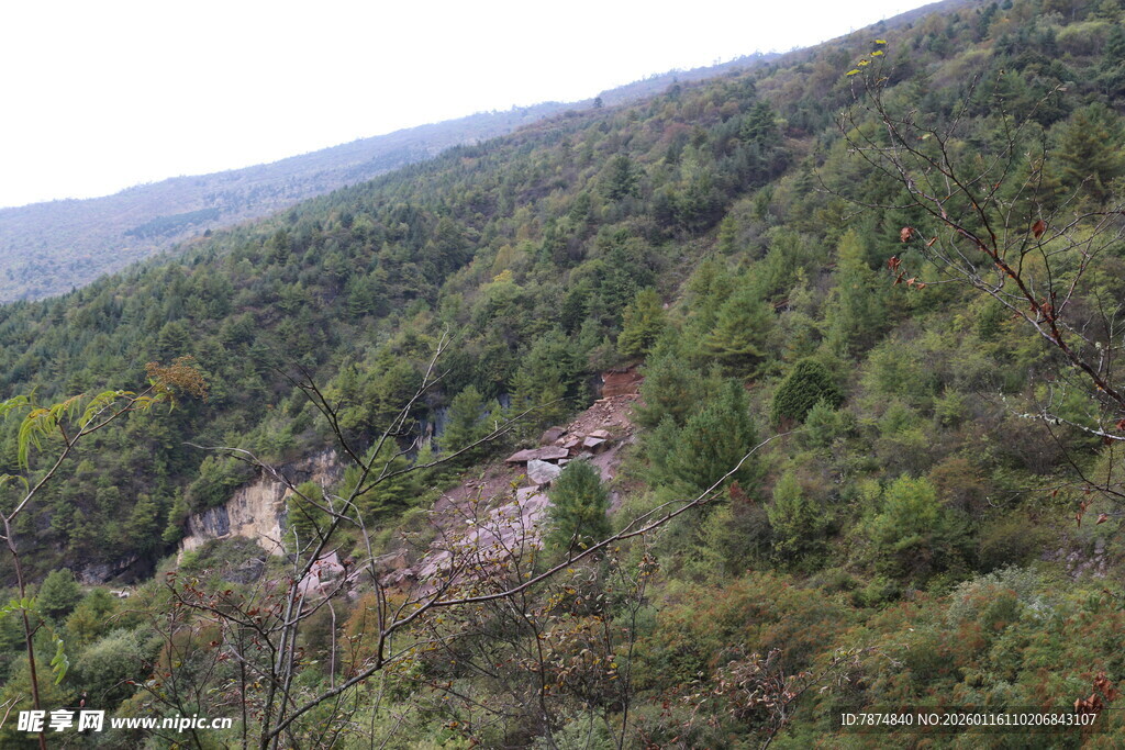 山间蜿蜒公路 绿意盎然