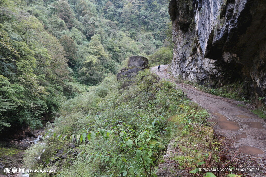 山间蜿蜒小径 绿意盎然