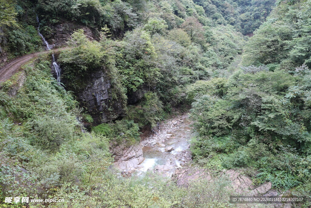 山间蜿蜒小路与葱郁植被