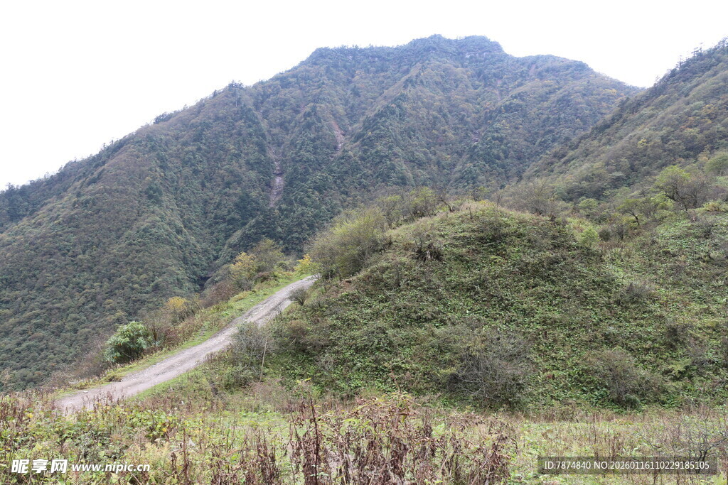 山间蜿蜒小路 绿意盎然