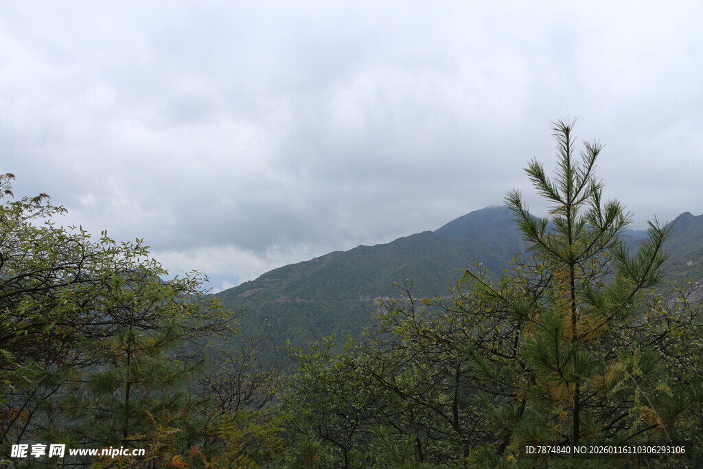 山间云雾缭绕的绿意景致