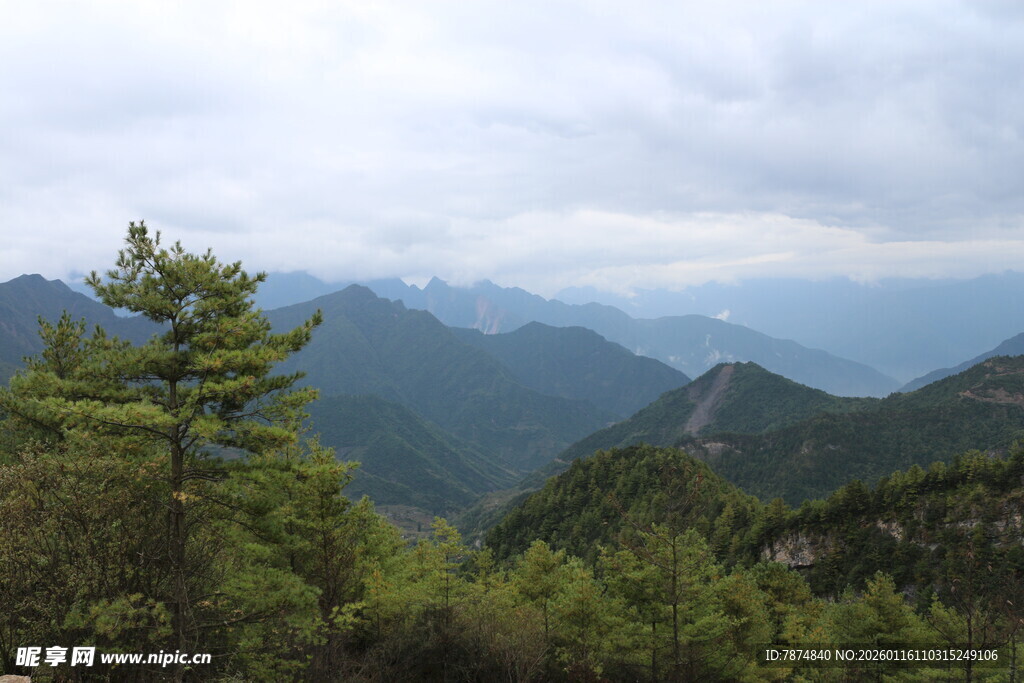 山间绿意 云雾缭绕美景