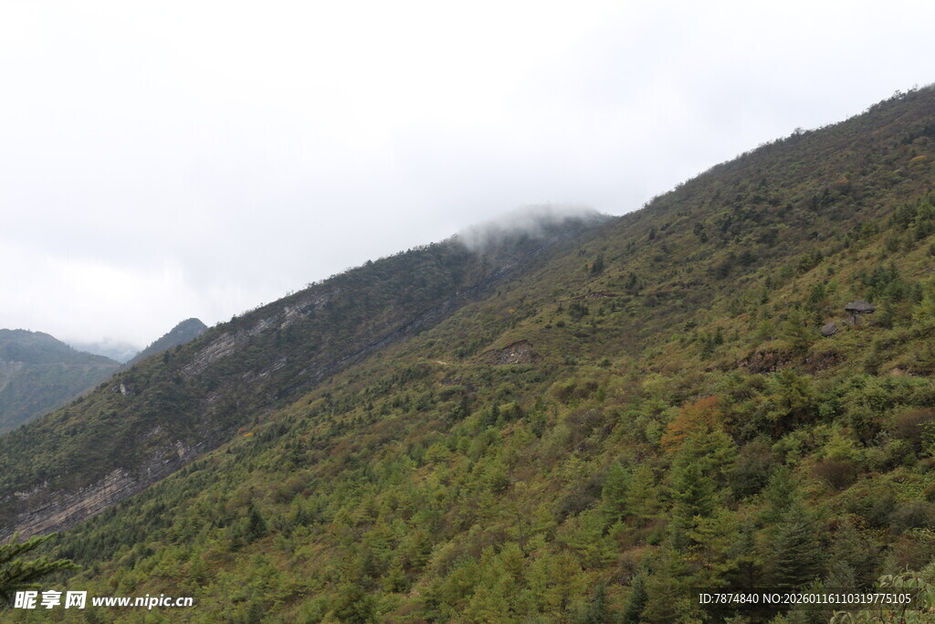 青山葱郁 云雾缭绕山间