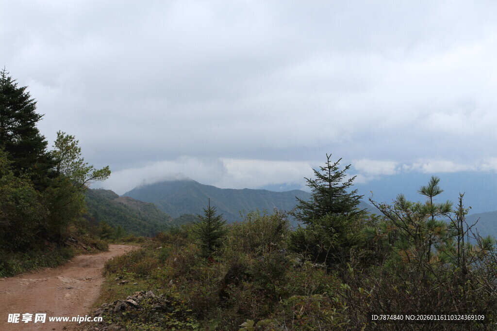 山间小径 云雾缭绕的美景