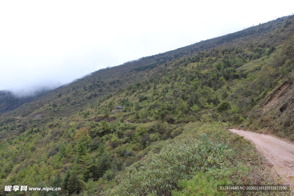 山间蜿蜒小路 绿意盎然