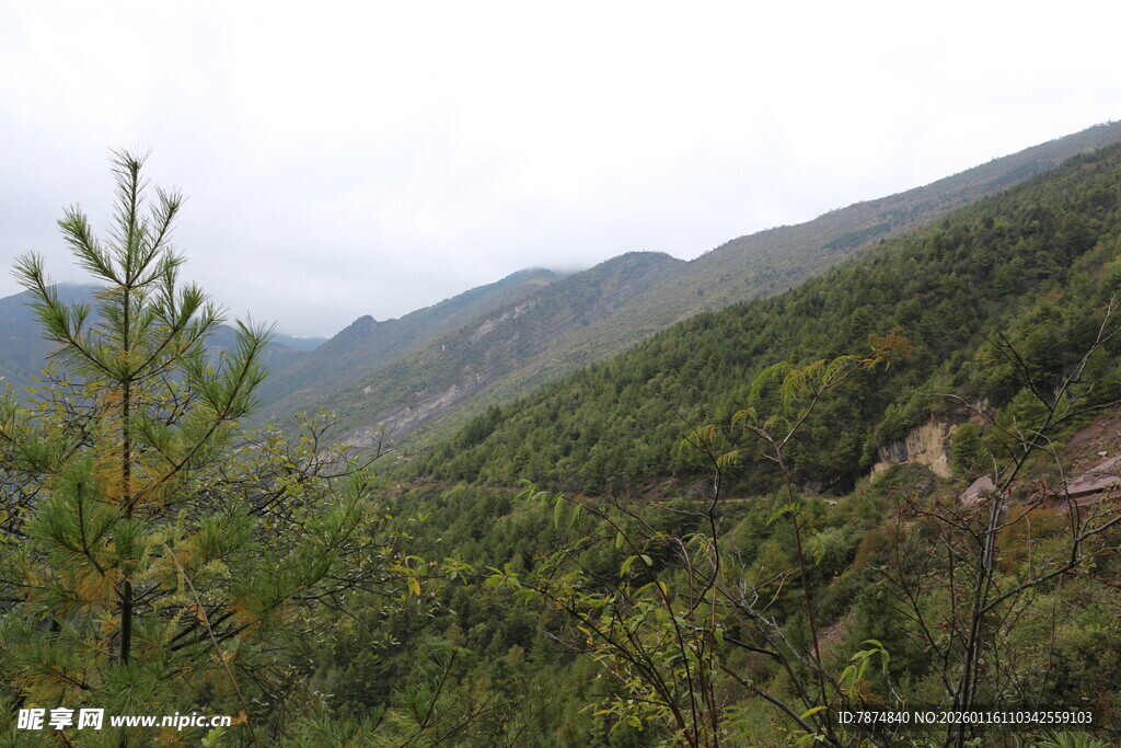 山间绿意盎然的自然景致