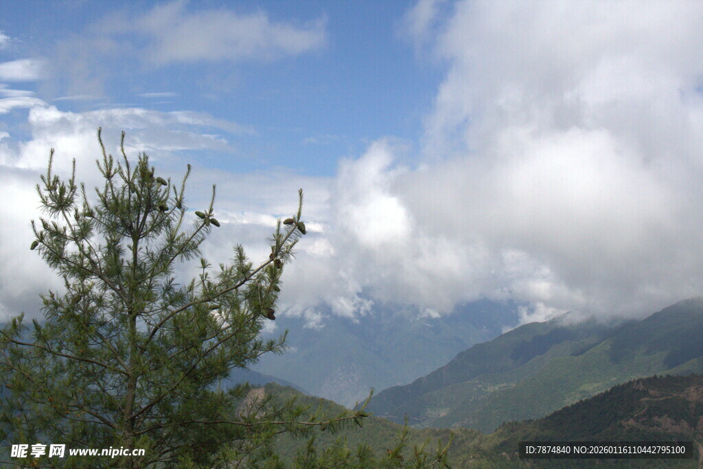 山间绿树与蓝天白云美景