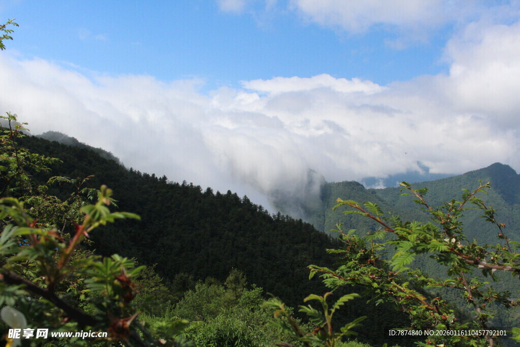山间云雾缭绕的绿意景致