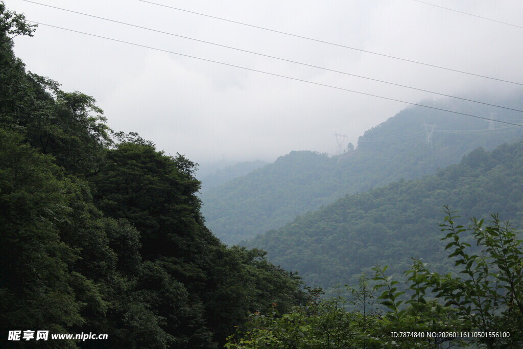 山间云雾缭绕的绿意景致