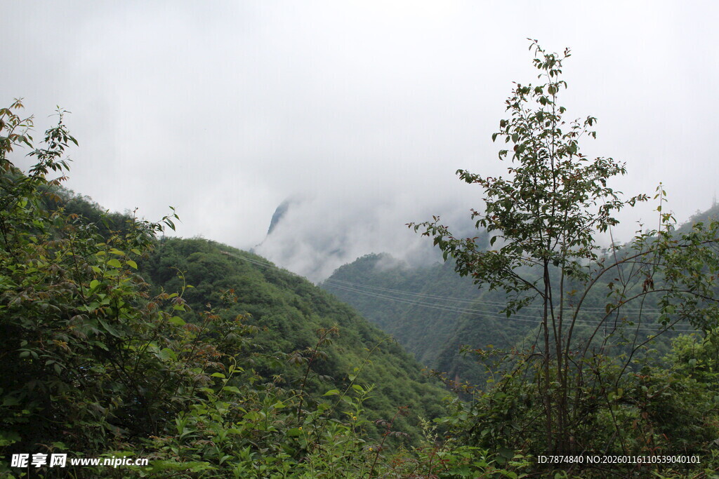 山间云雾缭绕的绿意景致