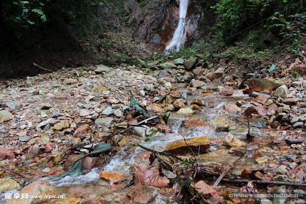 林间溪流旁的多彩落叶