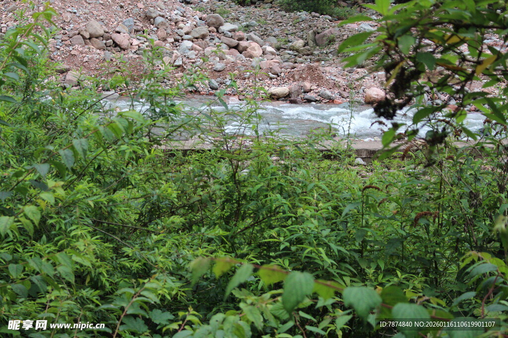 溪边繁茂绿植景观