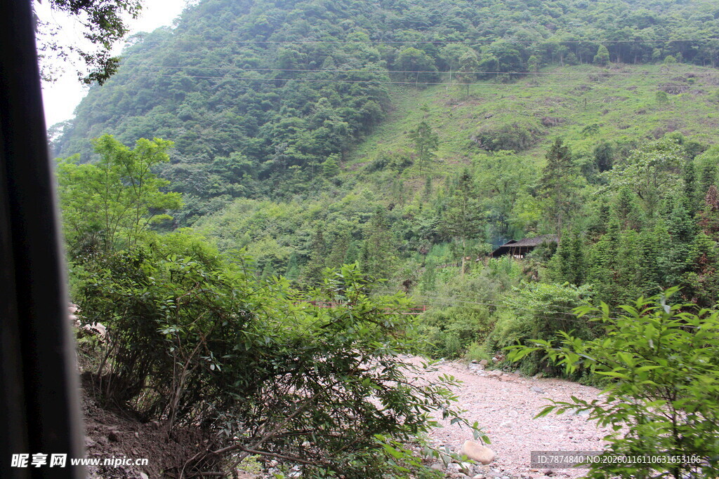 山间小道旁的葱郁景致