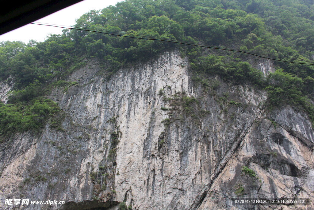 陡峭山壁上的葱郁植被